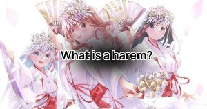 What Is a Harem? Exploring the Appeal of the Harem Genre in Entertainment Culture